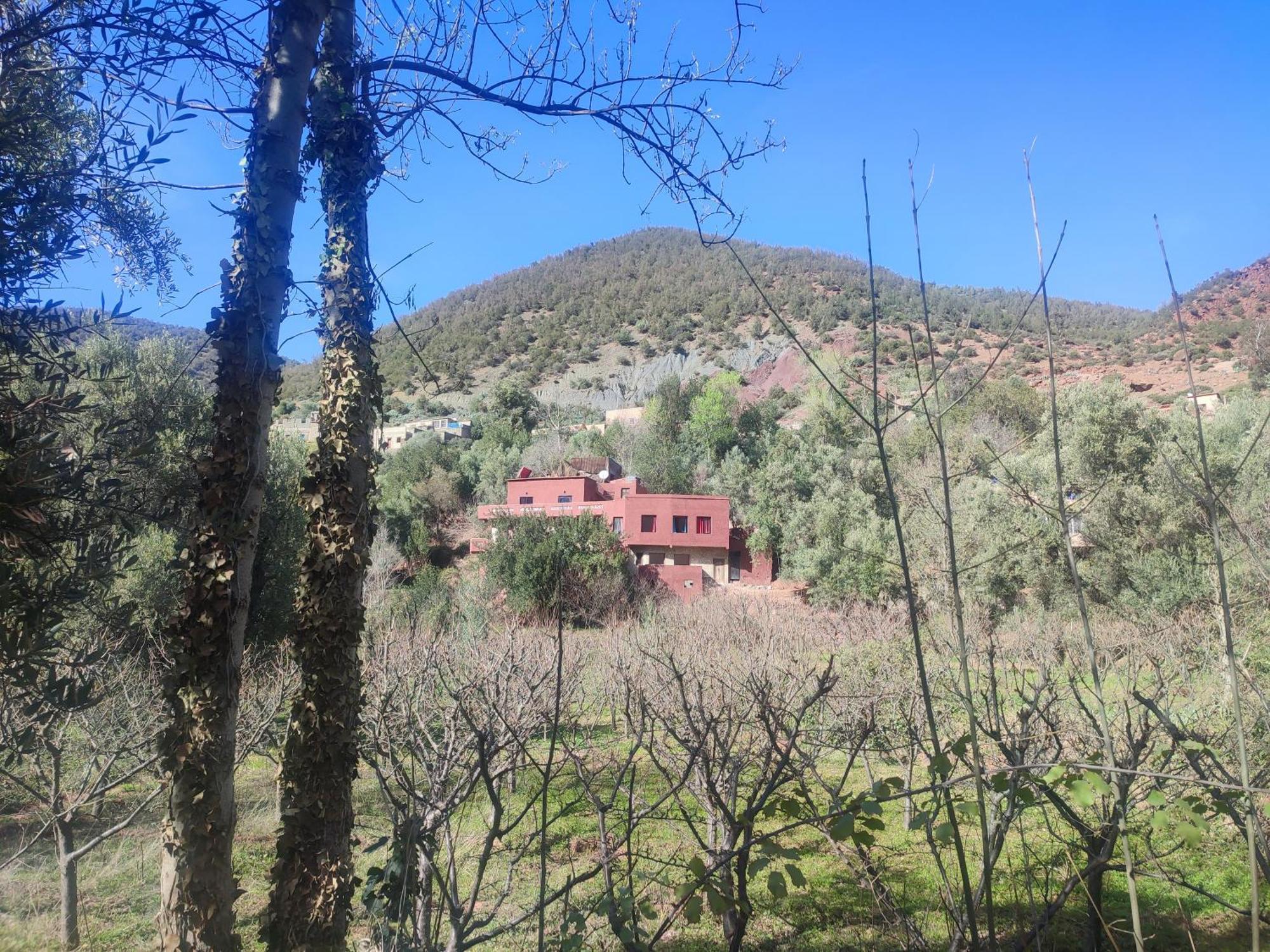 Chez Yahia, Au Coeur De L'Ourika Hotel Екстериор снимка