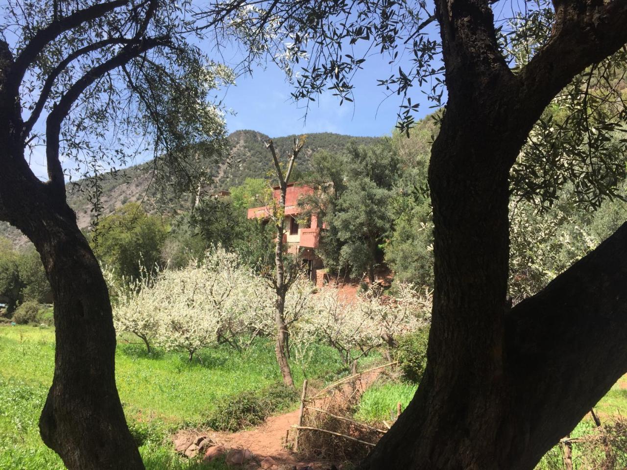 Chez Yahia, Au Coeur De L'Ourika Hotel Екстериор снимка